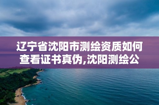 辽宁省沈阳市测绘资质如何查看证书真伪,沈阳测绘公司电话