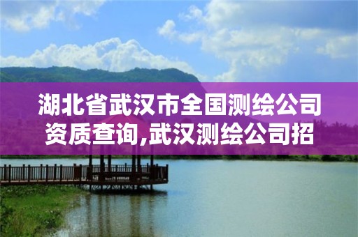 湖北省武汉市全国测绘公司资质查询,武汉测绘公司招聘