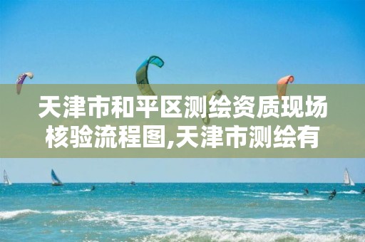 天津市和平区测绘资质现场核验流程图,天津市测绘有限公司。