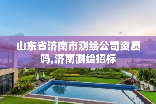 山东省济南市测绘公司资质吗,济南测绘招标