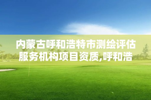 内蒙古呼和浩特市测绘评估服务机构项目资质,呼和浩特市测绘仪器店