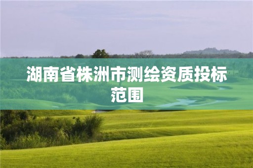 湖南省株洲市测绘资质投标范围