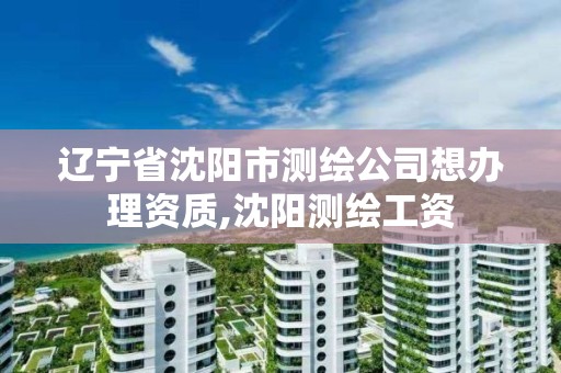 辽宁省沈阳市测绘公司想办理资质,沈阳测绘工资