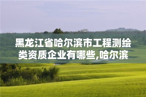 黑龙江省哈尔滨市工程测绘类资质企业有哪些,哈尔滨测绘学校。