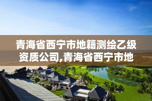 青海省西宁市地籍测绘乙级资质公司,青海省西宁市地籍测绘乙级资质公司有几家。