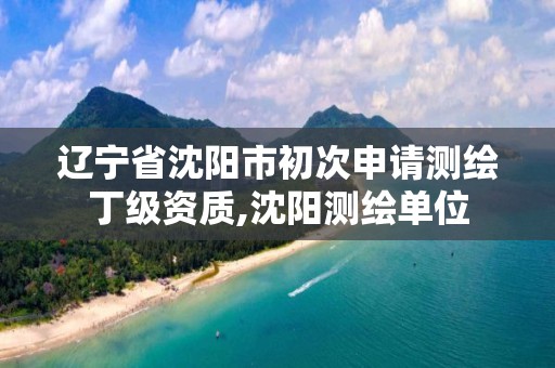 辽宁省沈阳市初次申请测绘丁级资质,沈阳测绘单位