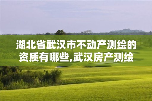 湖北省武汉市不动产测绘的资质有哪些,武汉房产测绘中心待遇怎么样