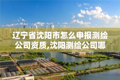 辽宁省沈阳市怎么申报测绘公司资质,沈阳测绘公司哪家强哪家好