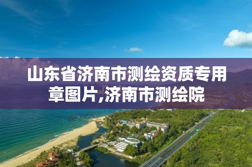 山东省济南市测绘资质专用章图片,济南市测绘院