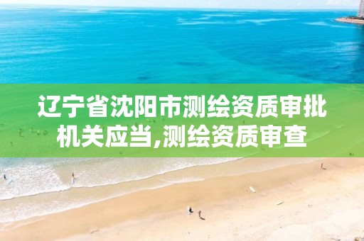 辽宁省沈阳市测绘资质审批机关应当,测绘资质审查