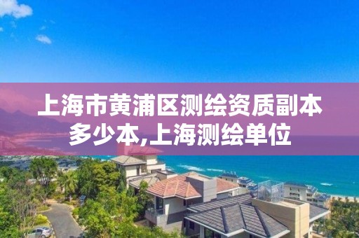 上海市黄浦区测绘资质副本多少本,上海测绘单位