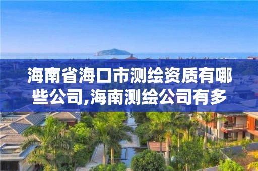 海南省海口市测绘资质有哪些公司,海南测绘公司有多少家