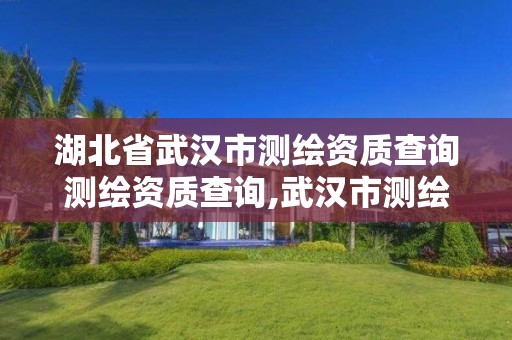 湖北省武汉市测绘资质查询测绘资质查询,武汉市测绘设计研究院