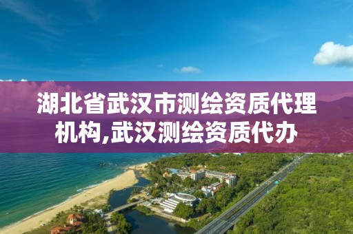 湖北省武汉市测绘资质代理机构,武汉测绘资质代办