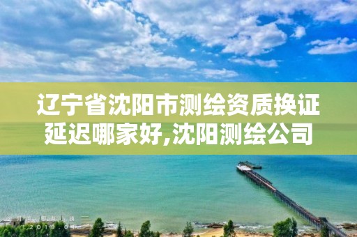 辽宁省沈阳市测绘资质换证延迟哪家好,沈阳测绘公司哪家强哪家好