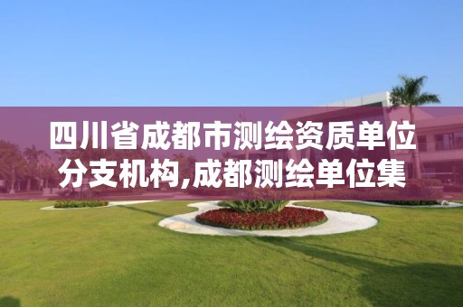 四川省成都市测绘资质单位分支机构,成都测绘单位集中在哪些地方。