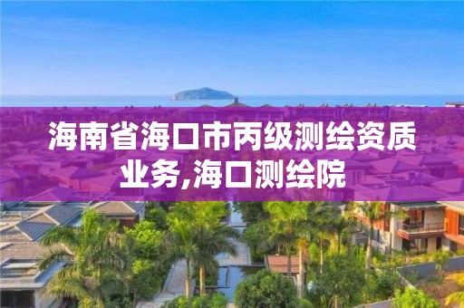 海南省海口市丙级测绘资质业务,海口测绘院