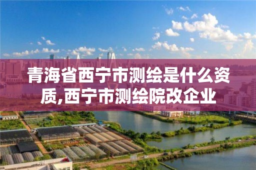 青海省西宁市测绘是什么资质,西宁市测绘院改企业