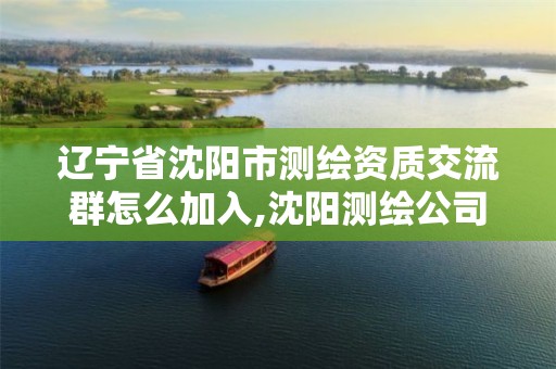 辽宁省沈阳市测绘资质交流群怎么加入,沈阳测绘公司哪家强哪家好