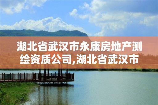 湖北省武汉市永康房地产测绘资质公司,湖北省武汉市永康房地产测绘资质公司电话。