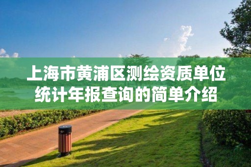 上海市黄浦区测绘资质单位统计年报查询的简单介绍