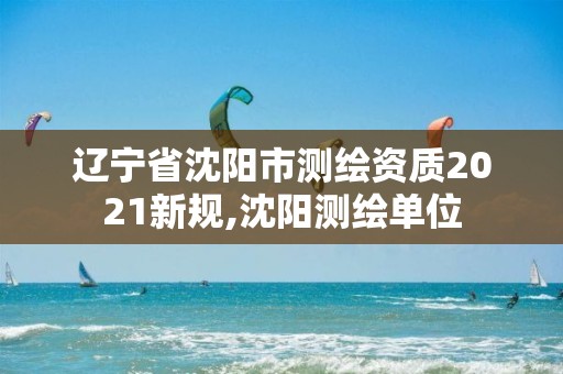 辽宁省沈阳市测绘资质2021新规,沈阳测绘单位