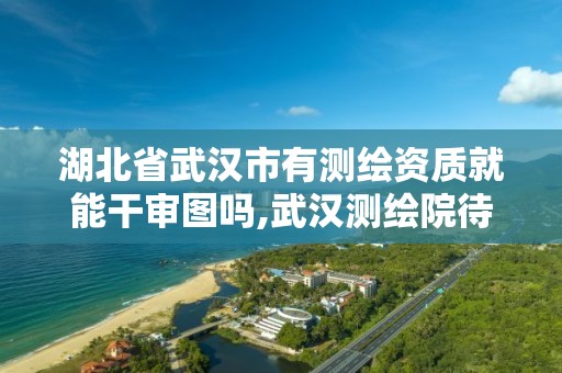 湖北省武汉市有测绘资质就能干审图吗,武汉测绘院待遇