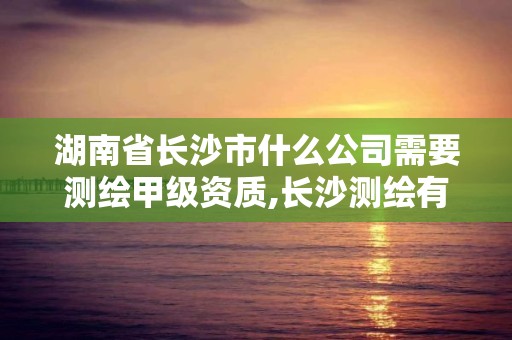 湖南省长沙市什么公司需要测绘甲级资质,长沙测绘有限公司是国企吗