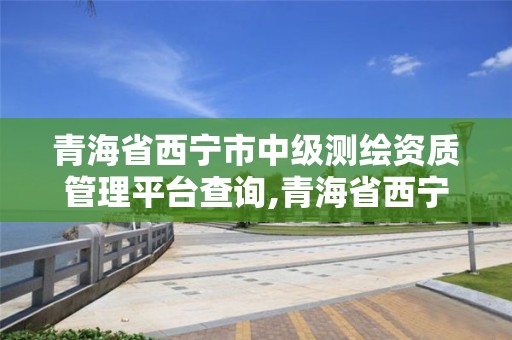 青海省西宁市中级测绘资质管理平台查询,青海省西宁市中级测绘资质管理平台查询