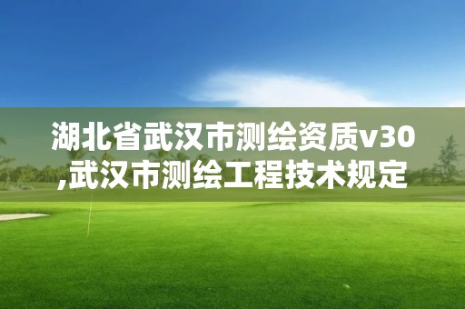 湖北省武汉市测绘资质v30,武汉市测绘工程技术规定