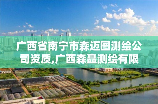 广西省南宁市森迈图测绘公司资质,广西森矗测绘有限公司