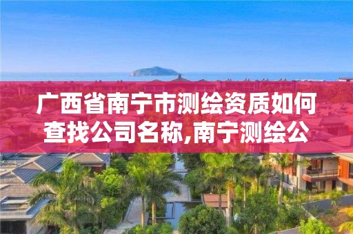 广西省南宁市测绘资质如何查找公司名称,南宁测绘公司联系电话。