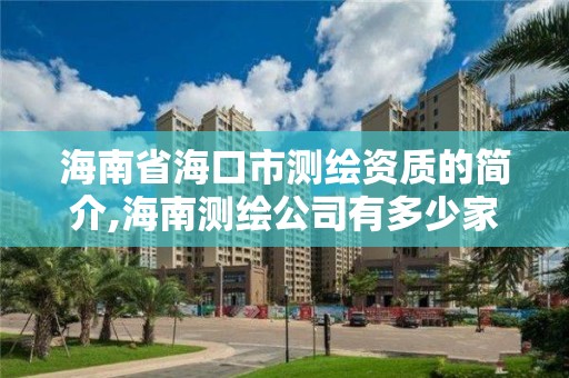 海南省海口市测绘资质的简介,海南测绘公司有多少家