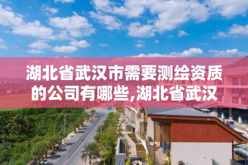 湖北省武汉市需要测绘资质的公司有哪些,湖北省武汉市需要测绘资质的公司有哪些地方。