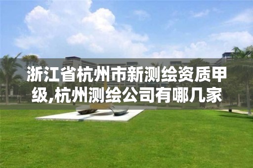 浙江省杭州市新测绘资质甲级,杭州测绘公司有哪几家