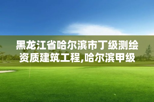 黑龙江省哈尔滨市丁级测绘资质建筑工程,哈尔滨甲级测绘公司