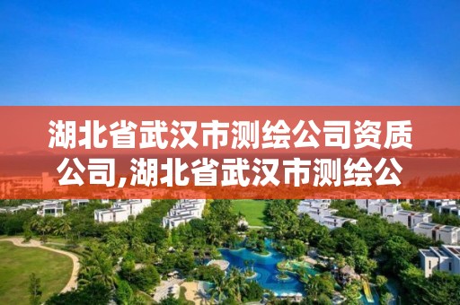 湖北省武汉市测绘公司资质公司,湖北省武汉市测绘公司资质公司有哪些