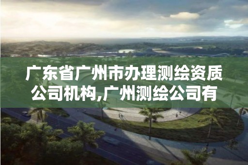 广东省广州市办理测绘资质公司机构,广州测绘公司有哪些