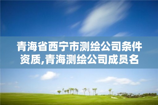 青海省西宁市测绘公司条件资质,青海测绘公司成员名单