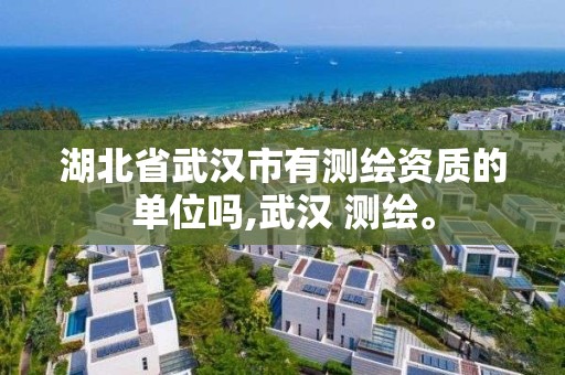 湖北省武汉市有测绘资质的单位吗,武汉 测绘。