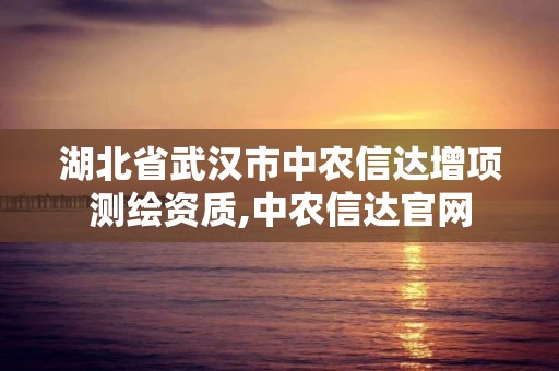 湖北省武汉市中农信达增项测绘资质,中农信达官网