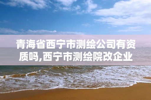 青海省西宁市测绘公司有资质吗,西宁市测绘院改企业