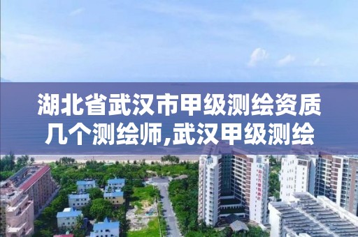 湖北省武汉市甲级测绘资质几个测绘师,武汉甲级测绘资质名录