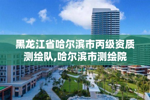 黑龙江省哈尔滨市丙级资质测绘队,哈尔滨市测绘院