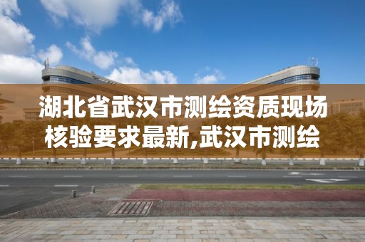 湖北省武汉市测绘资质现场核验要求最新,武汉市测绘院电话