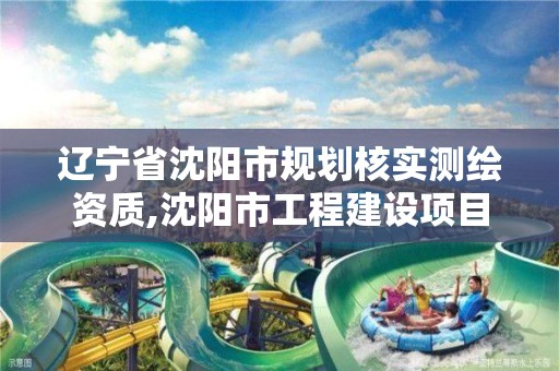 辽宁省沈阳市规划核实测绘资质,沈阳市工程建设项目测绘技术规程