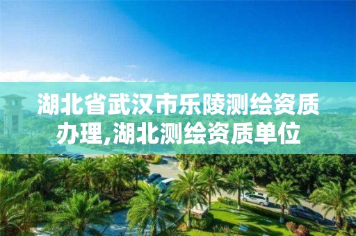 湖北省武汉市乐陵测绘资质办理,湖北测绘资质单位