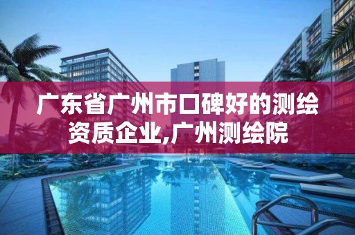 广东省广州市口碑好的测绘资质企业,广州测绘院