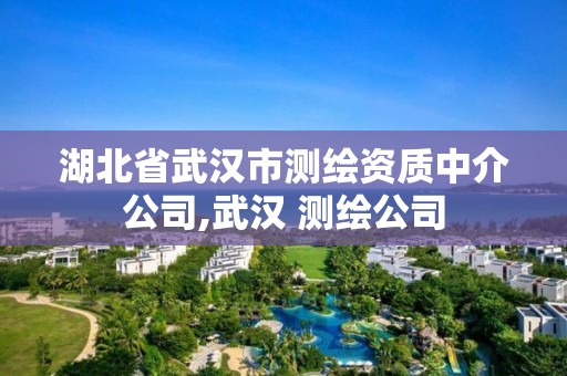 湖北省武汉市测绘资质中介公司,武汉 测绘公司