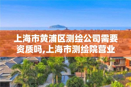 上海市黄浦区测绘公司需要资质吗,上海市测绘院营业时间